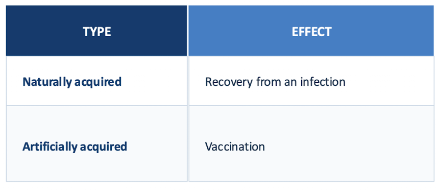 <p>building your own defense</p><p><u>immune response</u> produced by an immunocompetent individual following <u>exposure</u> to a challenge</p><p>Immune products produced → may <u>take tim</u>e (weeks) to develop; <u>lifelong</u> protection</p><p>Can be <u>naturally</u> acquired (ex. recovery from infection) or <u>artificially</u> acquired (vaccination)</p>