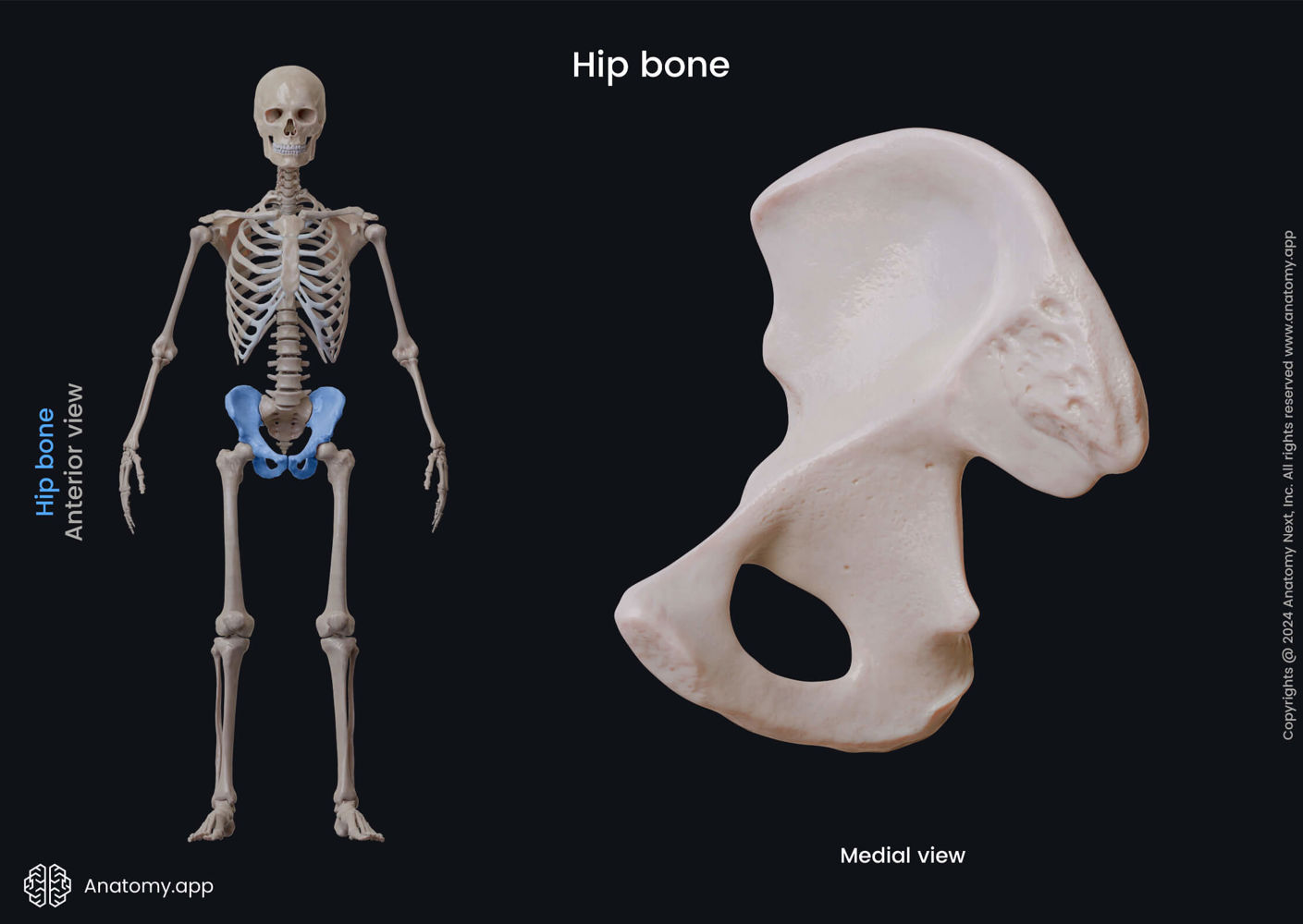 knowt flashcard image