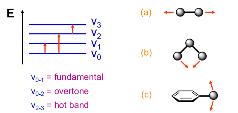 <ul><li><p>Bond stretching</p></li><li><p>Angle deformation</p></li><li><p>Out of plane deformation</p></li></ul><p>Caused by IR light absorption</p>