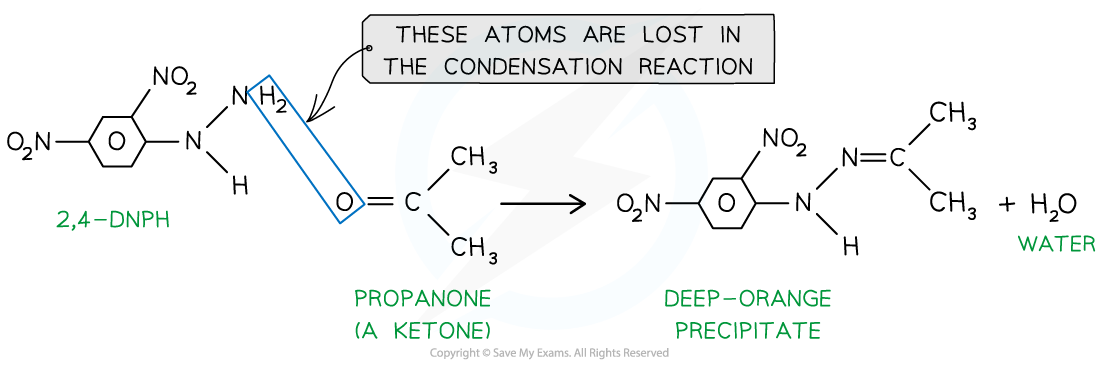 <ul><li><p>Reagent: 2,4-dinitrophenylhydrazine (2,4-DNPH) </p></li><li><p>Condensation - H2O is eliminated </p></li><li><p>Positive = deep-orange ppt, can be purified by recrystallization </p></li></ul><p></p>