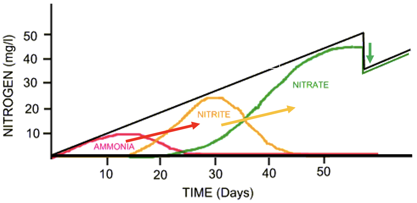 <p>What does this diagram show?</p>