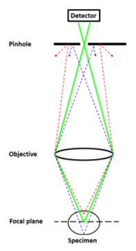<ol><li><p>a <strong>lazer </strong>is used to decrease the volume of the light beam → reduces the cone of out of focus light → increases resolution</p></li><li><p>a <strong>pinhole </strong>is placed in front of the detector → reduces the amount of out of focus light → improves imaging depth as well</p></li><li><p>lazer is scanned across the imaging plane </p></li><li><p>stage can be moved in the z axis → samples is moved thought the focal zone →  allows for optical sectioning → visualise tissue at specific depths → 3D image (<strong>confocal  laser scanning microscopy) → only possible due to good out of focus rejection </strong></p><ol><li><p>increases acquisition time </p></li><li><p>depth is still <strong>limited to 500 microns  due to light loss in tissue </strong></p></li></ol></li></ol><p></p>