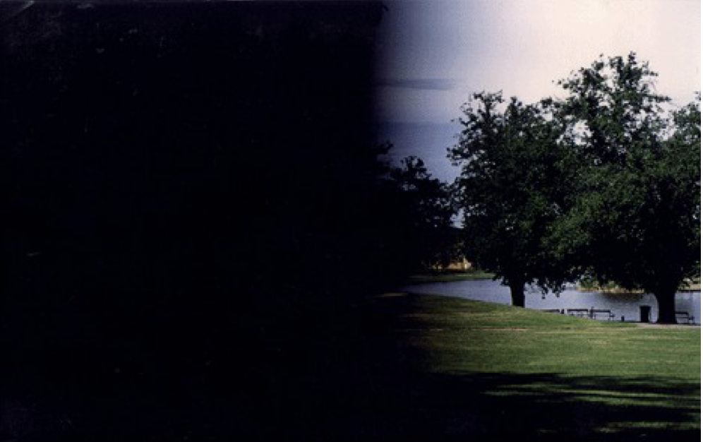 <p><mark data-color="#211d1d" style="background-color: rgb(33, 29, 29); color: inherit;">the loss of the left half of your field of vision in both eyes, caused by damage to the right side of your brain</mark></p>