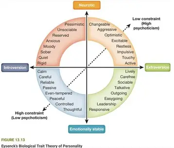 <p>personality is composed of traits that occur in three</p><p>dimensions: <strong>extraversion/introversion, emotionally stable/neurotic, and high</strong></p><p><strong>constraint/low constraint</strong></p>
