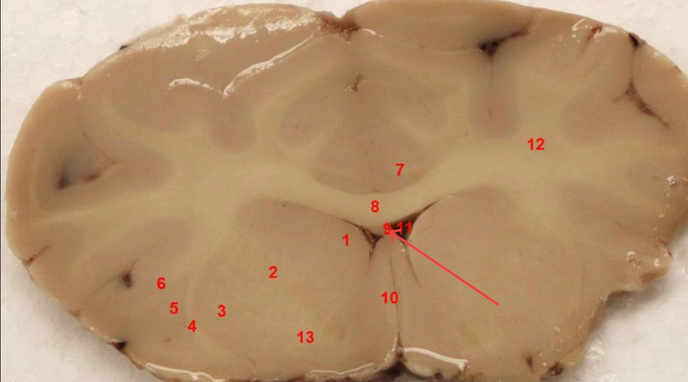 <p>what area is this </p>