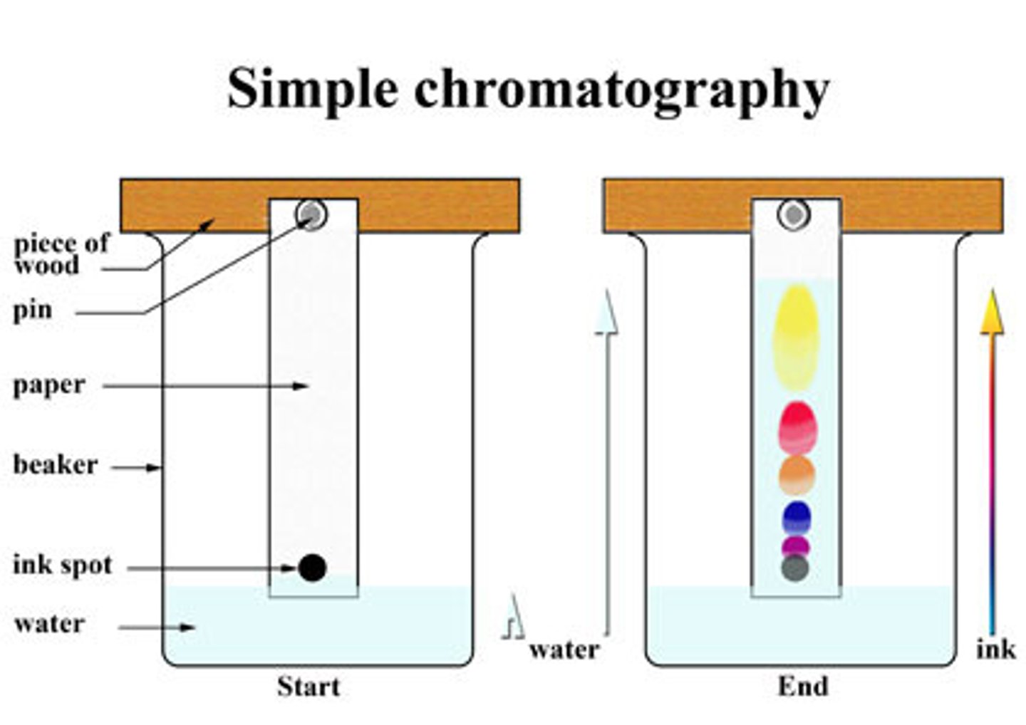<p>Separation technique that uses physical and chemical properties of proteins</p><p>Several techniques - often require homogenized mixture to be fractionated through porous matrix</p>