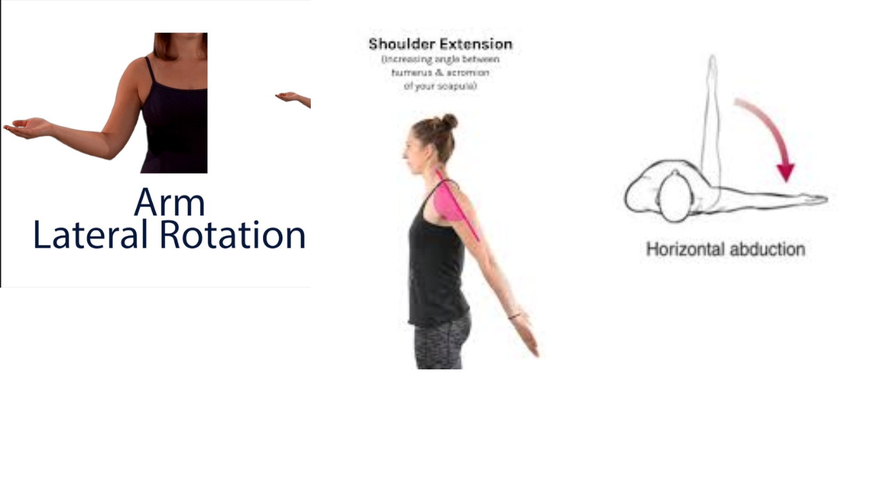 <p>Lateral Rotation, Shoulder Extension, Horizontal Abduction of Shoulder.  </p>