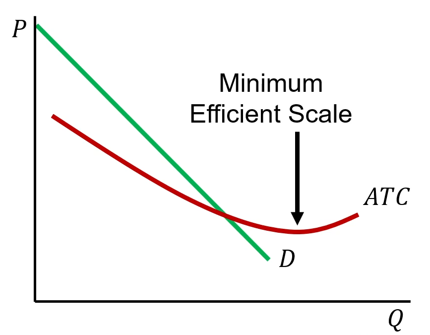 <ul><li><p>If the minimum efficient scale occurs at a level of output that is larger than the quantity demanded by consumers, a single firm supplying the entire market can produce at a lower cost than multiple smaller firms.</p></li><li><p>This situation is called a natural monopoly</p><ul><li><p>Electrical company</p></li><li><p>Water company</p></li></ul></li></ul><p></p>