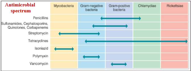 <p>affect only a few pathogens</p>