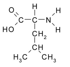 <p>(Leu, L) Neutral-nonpolar, hydrophobic</p>