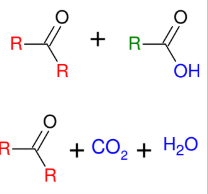 <ul><li><p><u>Cleaves the DB to turn C=C into C=O </u></p></li><li><p><u>creates carboxylic acid or ketone</u></p></li><li><p>*further oxidizes to form</p><p>carboxylic acids</p><p>*cannot isolate the</p><p>formaldehyde</p></li></ul><p></p>