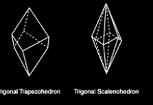 <p>1 three fold</p>