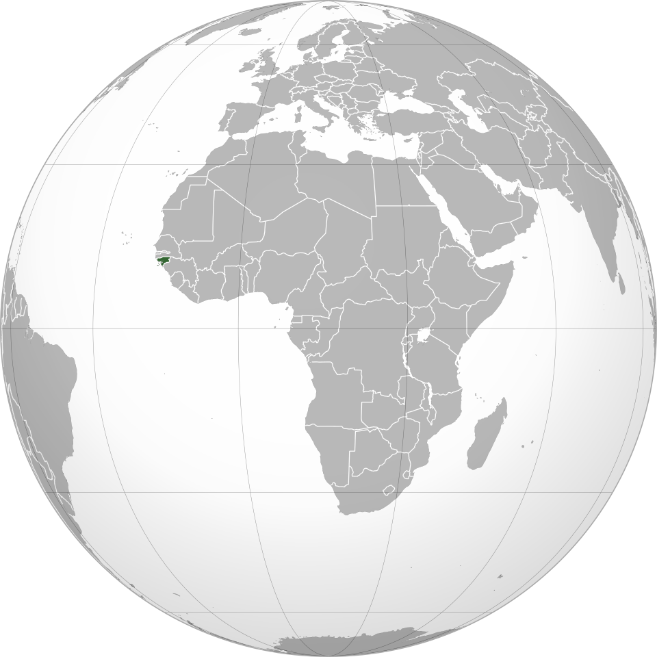 term image