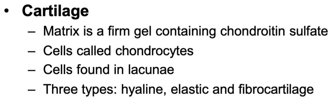<p>Hyaline, elastic, fibrocartilage</p>