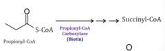 <p>- Enzyme utilized to convert Propionyl-CoA → Methylmalonyl-CoA is deficient →→ Accumulation of Propionyl-CoA as it cannot be processed</p>