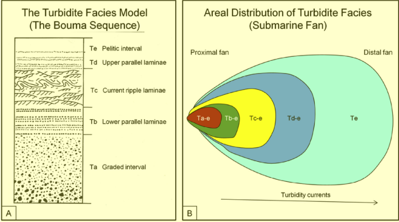 <p>Upward fining sequence describing the flow of a turbidite; distal sediments are finer while proximal sediments are coarser. Often not fully preserved</p>