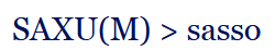 term image