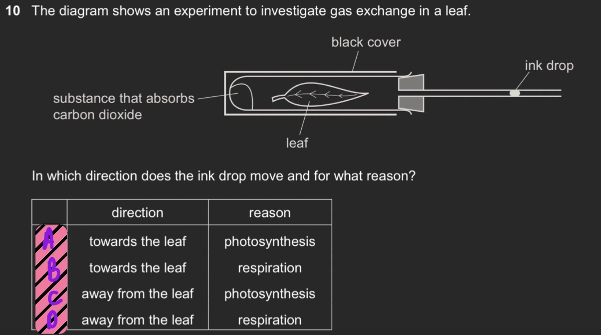 term image