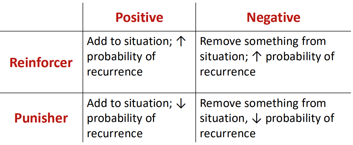 <ul><li><p><strong>Positive reinforcer: </strong>Add to situation; ↑ probability of recurrence → praise for cleaning room</p></li><li><p><strong>Negative reinforcer</strong>: Remove something from situation; ↑ probability of recurrence</p></li><li><p><strong>Positive punisher:</strong> Add to situation; ↓ probability of recurrence</p></li><li><p><strong>Negative punisher</strong>: Remove something from situation, ↓ probability of recurrence</p></li></ul><p></p>