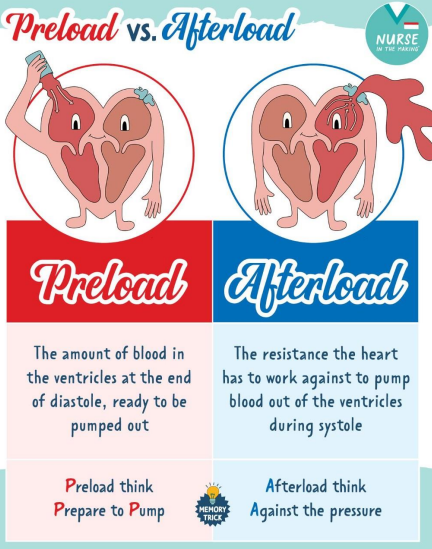 <ul><li><p>preload (how much you fill)</p></li><li><p>afterload (how much resistance you face)</p></li><li><p>contractility (how hard you can squeeze)</p></li><li><p>stroke volume → pumped out amount </p></li></ul><p></p>