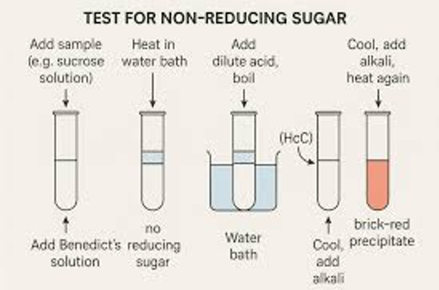 <ol><li><p>Test for reducing sugars first, using Benedict’s test → result will be negative</p></li><li><p>Take a fresh sample &amp; heat with dilute HCl</p></li><li><p>Neutralise with sodium hydrogencarbonate (check against pH paper). Add Benedict's reagent &amp; heat again</p></li><li><p>If non-reducing sugars are present, the solution will change from blue to brick red precipitate</p></li></ol><p></p>