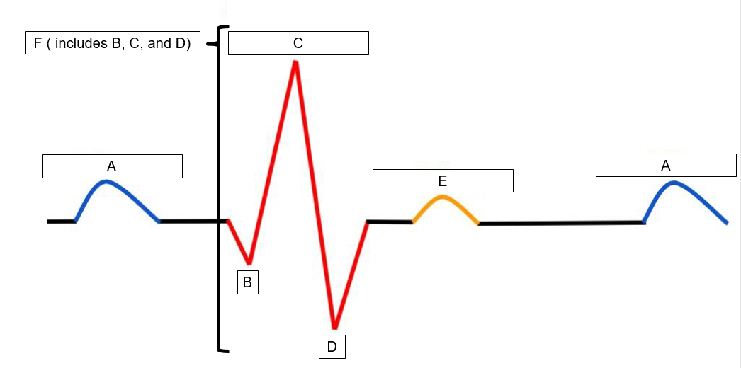 <p>what is C?</p>