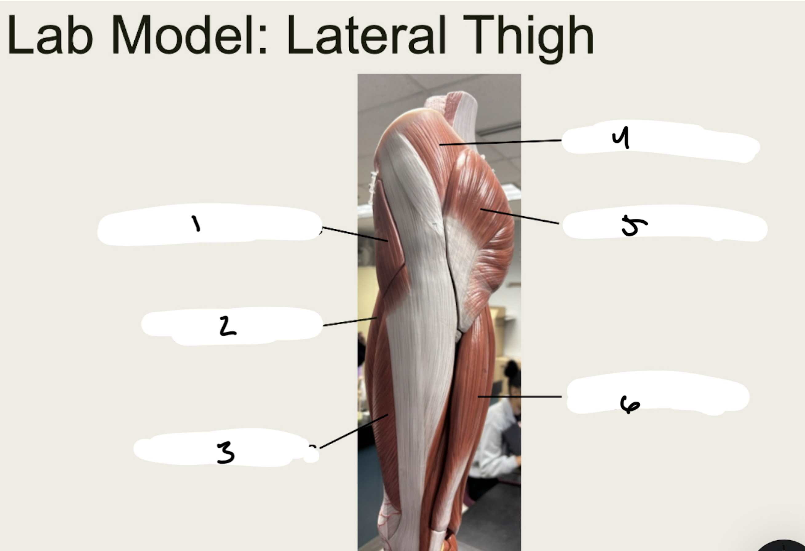 <p>1.XX</p><p>2.XX</p><p>3.XX</p><p>4.XX</p><p>5.XX</p><p>6.XX</p>