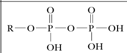 <p>phosphoric anhydride group</p>