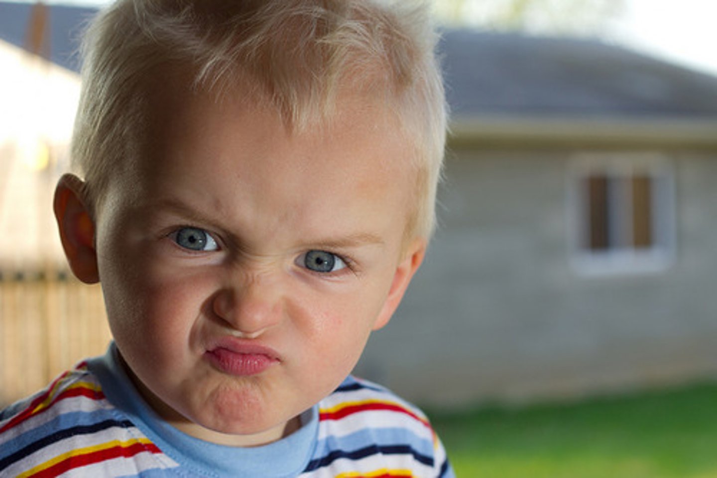 <p>unfriendly, mean</p>