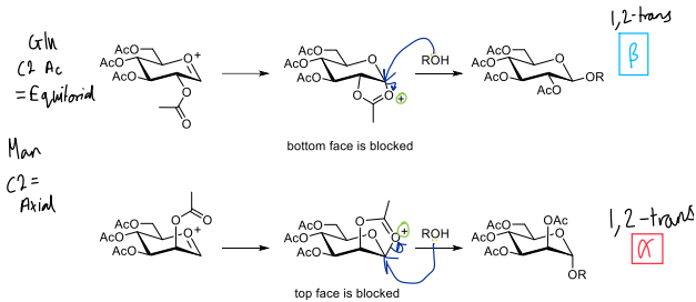 <p>Activation of donors w/ an ester protecting group at C2 causes formation of a bicyclic oxonium ion intermediate, sterically hindering attack by the acceptor (ROH) from 1 side, leading to exclusive formation of the 1,2-<strong>trans</strong> isomer</p><p></p>
