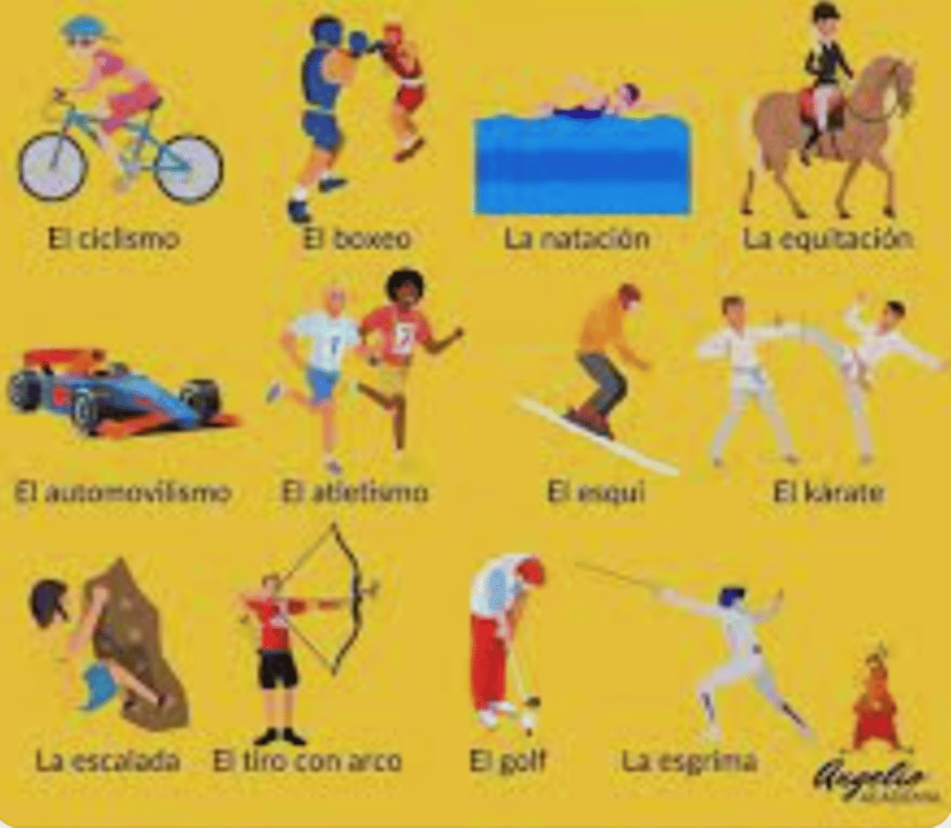 <p>individual sports</p>