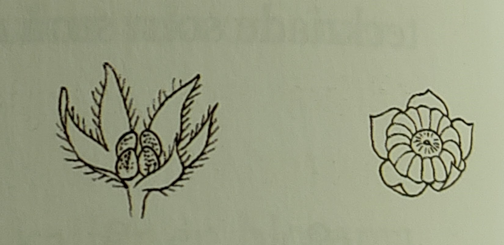 <p></p>