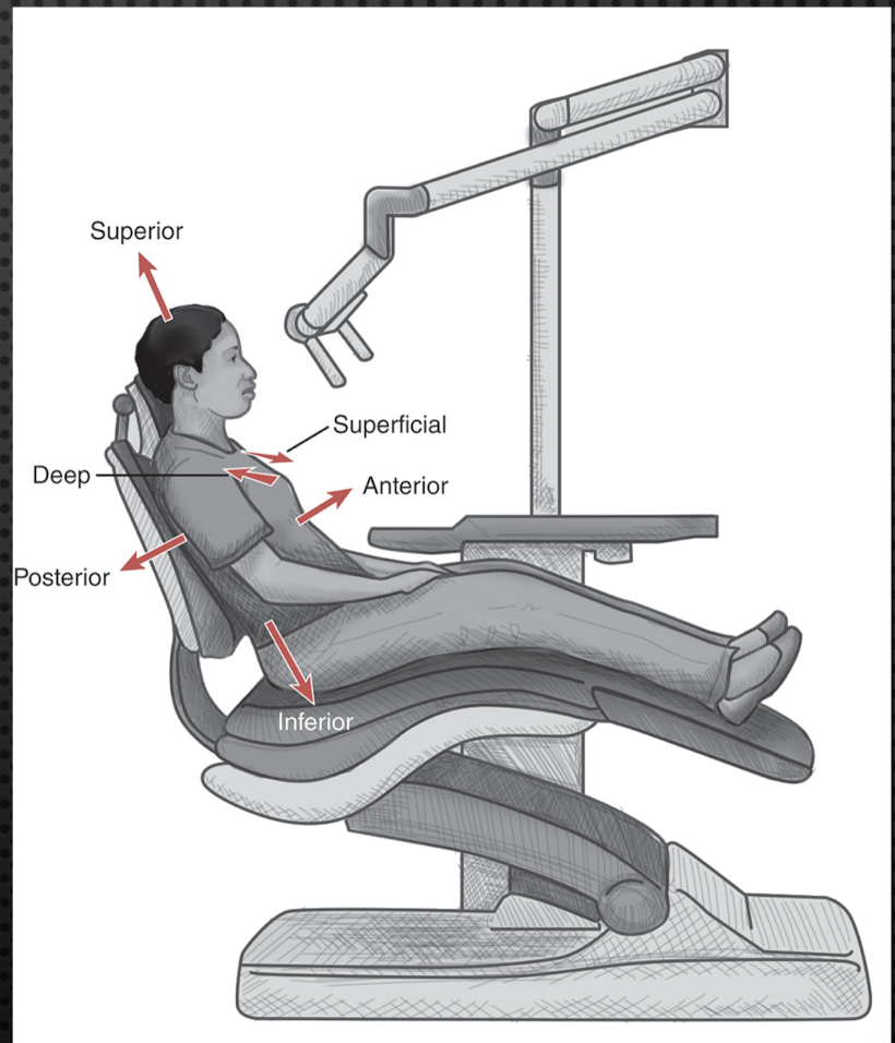 <p>Structure that is away from the head and toward the feet</p>