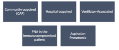 <p>CAP is most common</p><p>hospital is while in hospital ... not before admission</p><p>ventilator is caused by bacteria getting into the lungs due to ET tube</p><p>immunocompromised get opportunistic and rare pneumonia (fungal)</p>