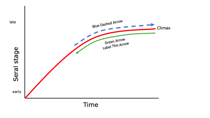 <p>What is the best label for the green arrow?</p>
