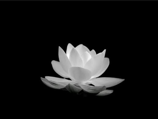 <p><span><span>What is the official song of the Vietnamese Buddhist Youth Association? Who is the author? [Bài hát chính thức của tổ chức GĐPT Việt Nam tại Hoa Kỳ là gì? Ai là tác giả?]</span></span></p>