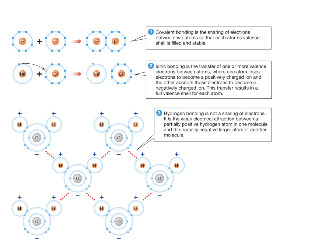 <p>What is a common feature of the valence shells of both atoms involved in covalent and ionic bonds?</p>
