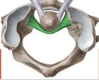 <p>welke ligament is dit?</p>