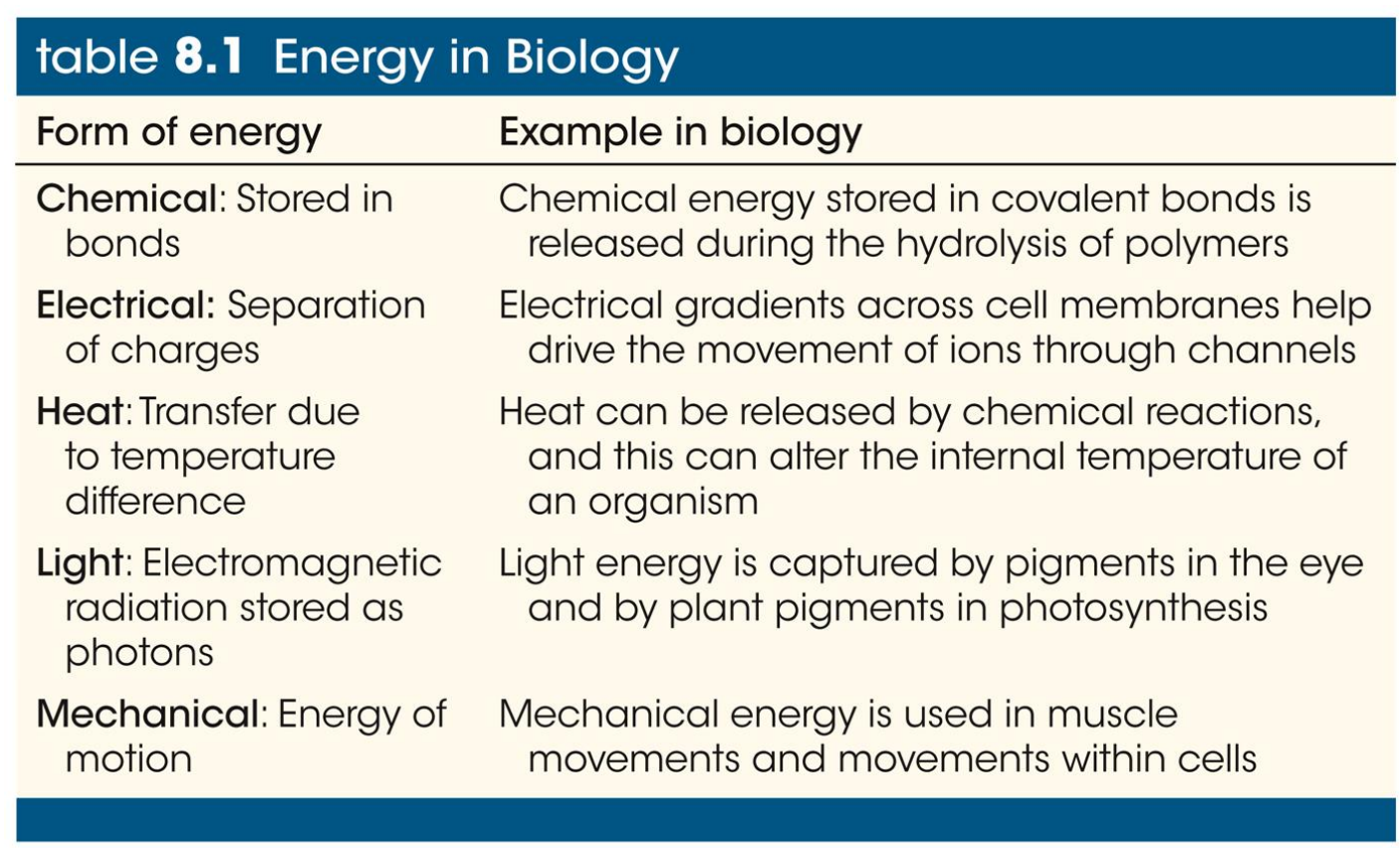 <p>What are the types of Energy?</p>
