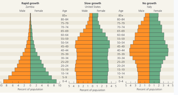 <ul><li><p><span style="background-color: transparent;">Age structure: Relative number of individuals in each age in the population.&nbsp;</span></p></li></ul><p></p>