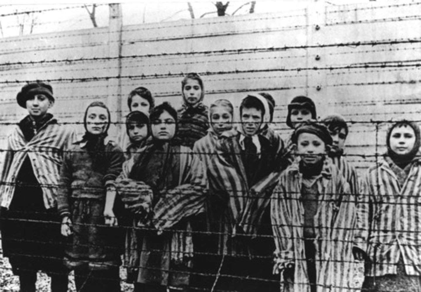 <p>The mass slaughter of European civilians especially Jewish citizens, gypsys, disabled citizens and political opponents by the Nazis during WWII</p>