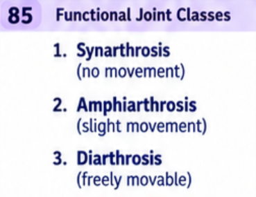 <p>Synarthrosis: essentially immovable. Amphiarthrosis: slightly movable. Diarthrosis: freely movable. These describe movement, whereas fibrous, cartilaginous, synovial, and bony describe structure.</p>