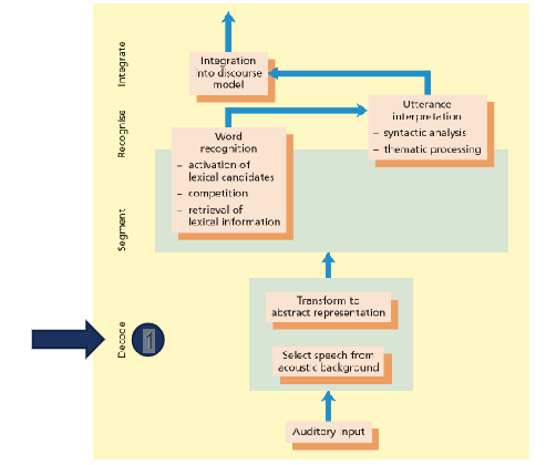 <p><span> Selectively attending to speech<br> Extracting specific elements from speech</span></p>