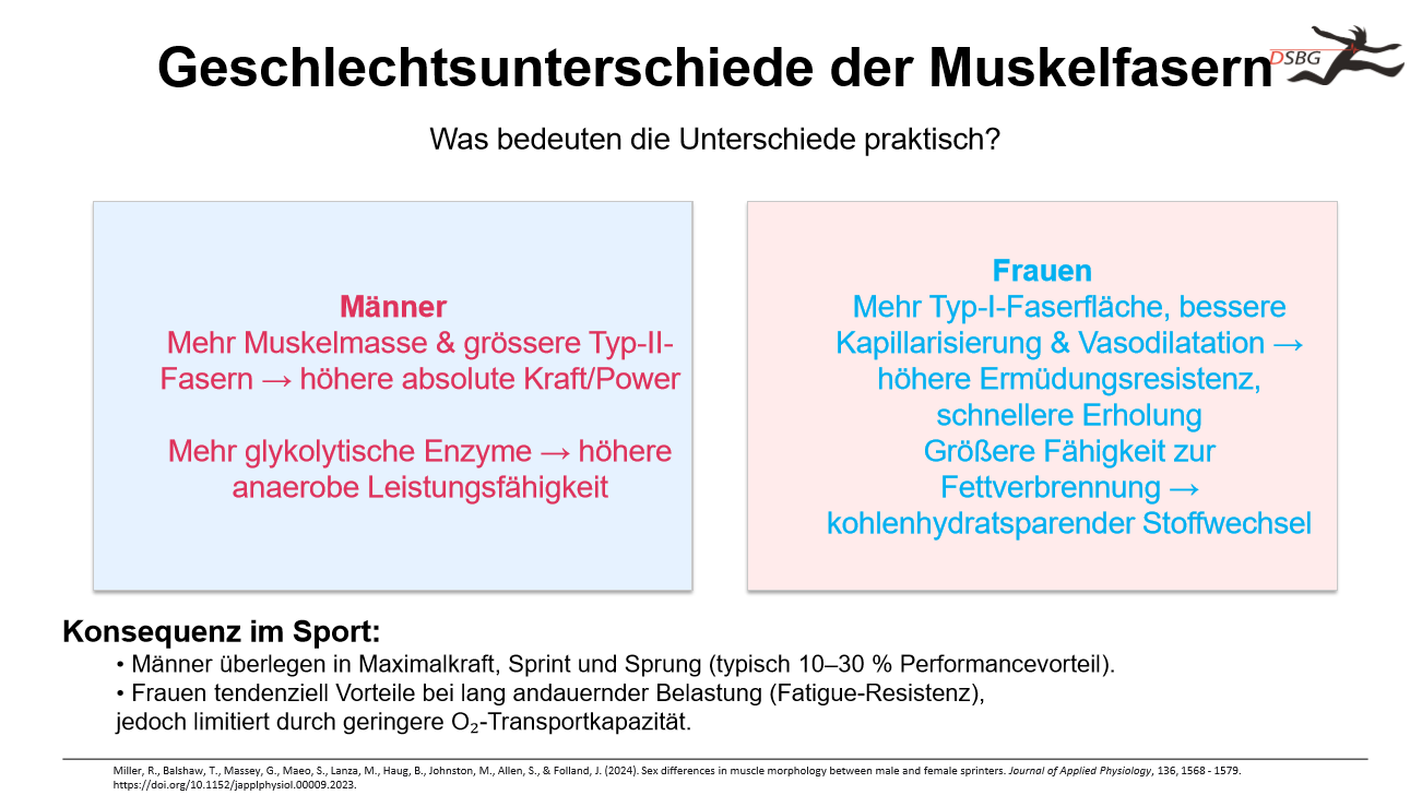 <p>Männer: Haben mehr Typ 2 Muskelmasse und höhere absolute Kraft und mehr glykolytische Enzyme (Anaerobe LF)</p><p></p><p>Frauen: Mehr Typ 1 Faserfläche, besser Kapillarisierung => höhere Ermüdungsresistenz und Erholung und grössere Fähigkeit zur Fettverbrennung</p>