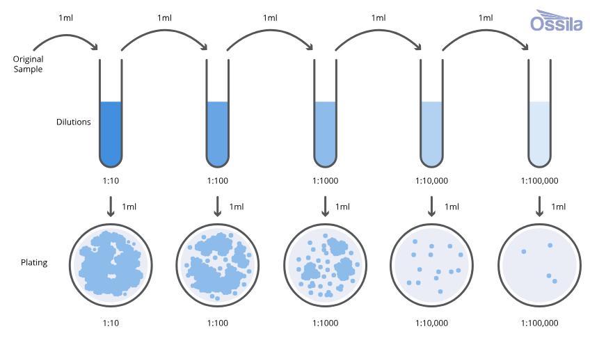 <p>Use-dilution test</p>
