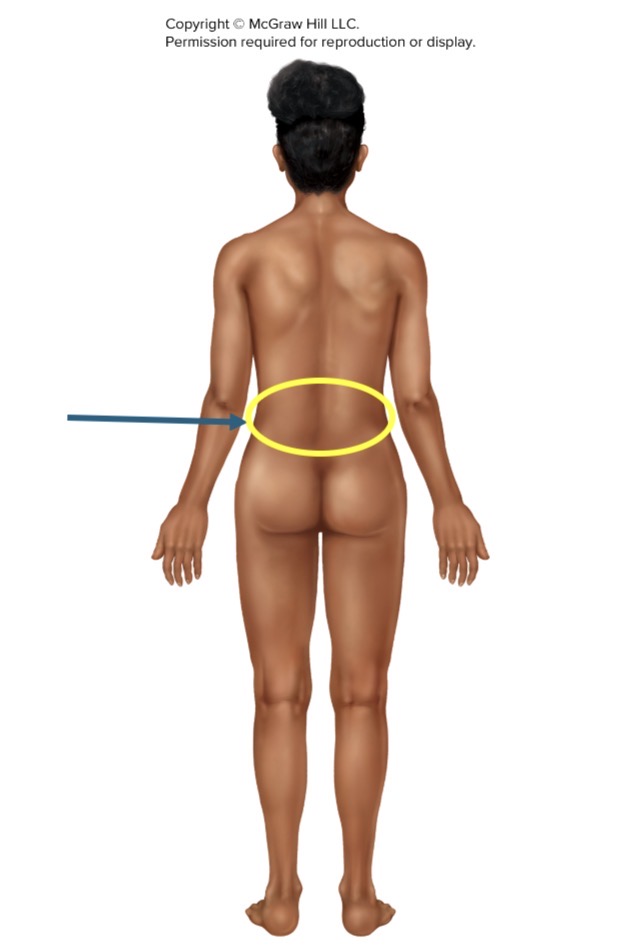 <p>Name the body part or region</p>