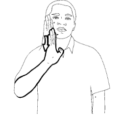 term image