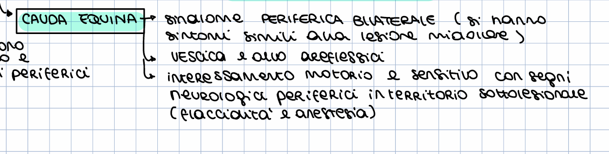 <p>È una lesione periferica, ma viene considerata una sindrome particolare delle lesioni midollari. </p><p>Di solito di fronte a una lesione di tipo periferico abbiamo solitamente una lesione, quando va </p><p>bene di un singolo nervo; ad esempio a una lesione del nervo radiale a livello dell'arto superiore </p><p>avrò il territorio cutaneo innervato da radiale con assenza di sensibilità e il territorio muscolare </p><p>(eminenza tenar e delle prime due dita); se va male ho una lesione di un insieme di nervi, come ad </p><p>esempio del plesso brachiale, in cui avrò una lesione di tutto la superiore. </p><p>La cosa tipica della lesione periferica è che ho la lesione solo di quello che è innervato da quei </p><p>nervi che si sono rotti e solitamente sono da un lato, quindi normalmente le lesioni periferiche </p><p>sono molto più limitate e fanno riferimento solo ciò che innervato da quel singolo nervo o da quel </p><p>piccolo insieme di nervi e solo da un emilato. </p><p>Si parla di lesione della cauda quando tutto ciò che è innervato dai nervi che fuoriusciranno sotto, </p><p>dai forami vertebrali, è colpito sia da un lato che dall'altro e quindi il quadro all'esame oggettivo è </p><p>molto più simile al quadro di una lesione midollare. Per questo, pur essendo una lesione periferica, </p><p>viene considerata come una sindrome particolare delle lesioni midollari, indipendentemente </p><p>dall’eziologia del danno alla cauda, ci sarà un quadro di anestesia, areflessia e flaccidità. </p>