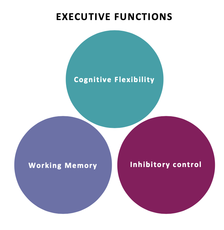 <ul><li><p>Working memory: The ability to retain a small amount of information for immediate access.</p></li><li><p><span>Inhibitory control</span><span style="background-color: transparent;">: The ability to control responses.</span></p></li><li><p>Cognitive flexibility: The ability to see things from another point of view rather than staying stuck on one idea.</p></li></ul><p></p>