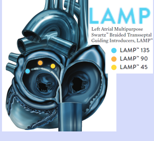 <p>LAMP (Left sided) </p>